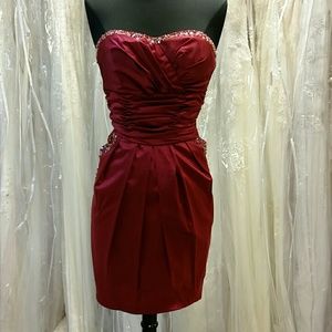 NWT Raspberry Pocket Dress